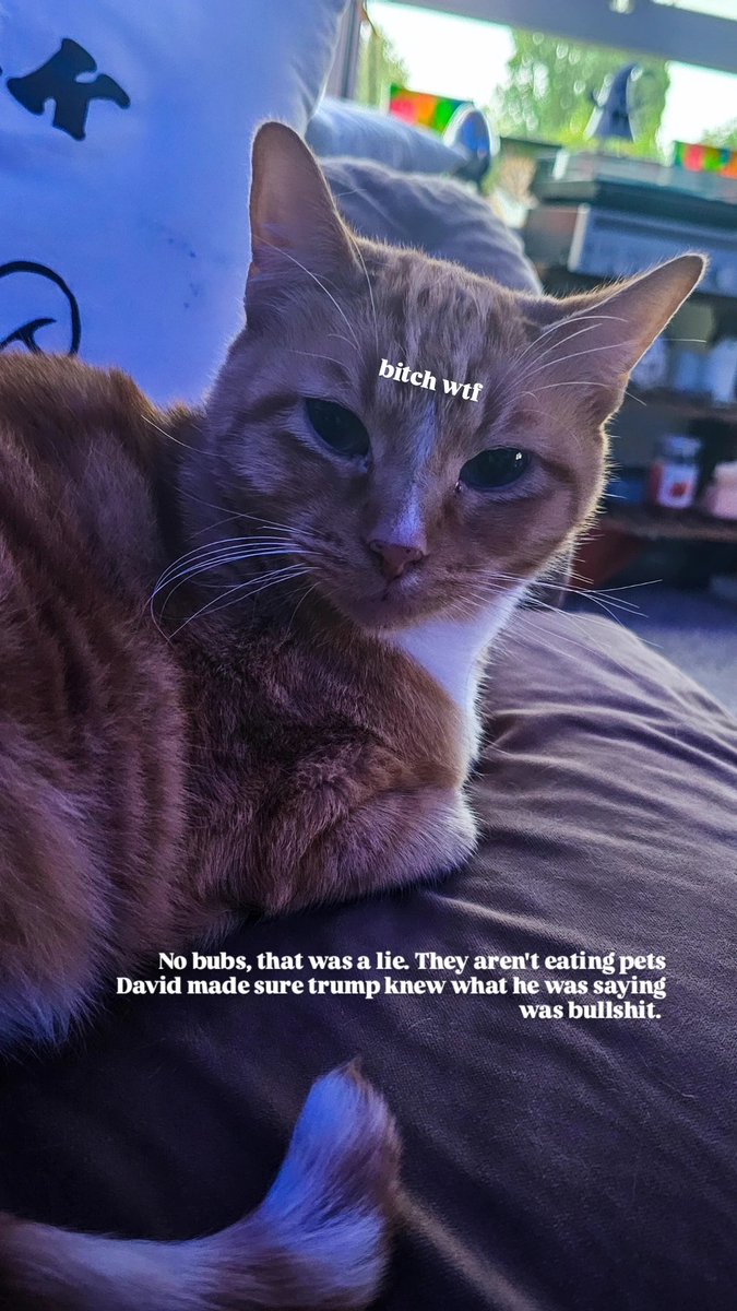 Imagine getting fact checked so hard about people eating pets... #Debate2024 #trump #KamalaHarris