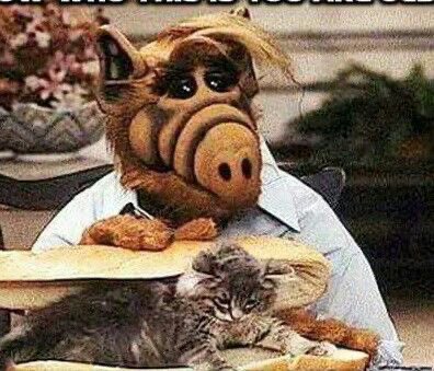 ChrisJLarson's tweet photo. When Trump says he saw something on tv about aliens eating cats… https://t.co/PtUagvhvqB