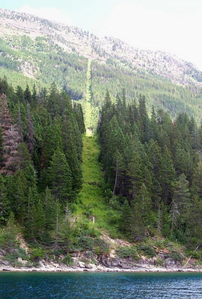 theepicmap's tweet photo. Who clears the brush from the US-Canada border? https://t.co/I9HtZa9rtW