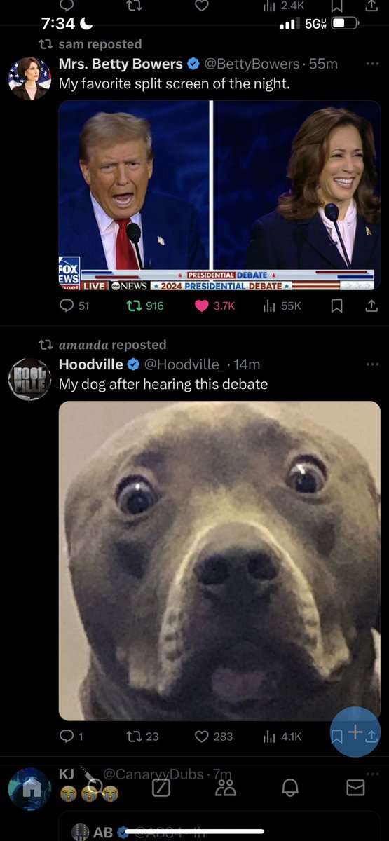 NapsPartTime's tweet image. You’re one of 3 people tonight if you’re watching this debate: