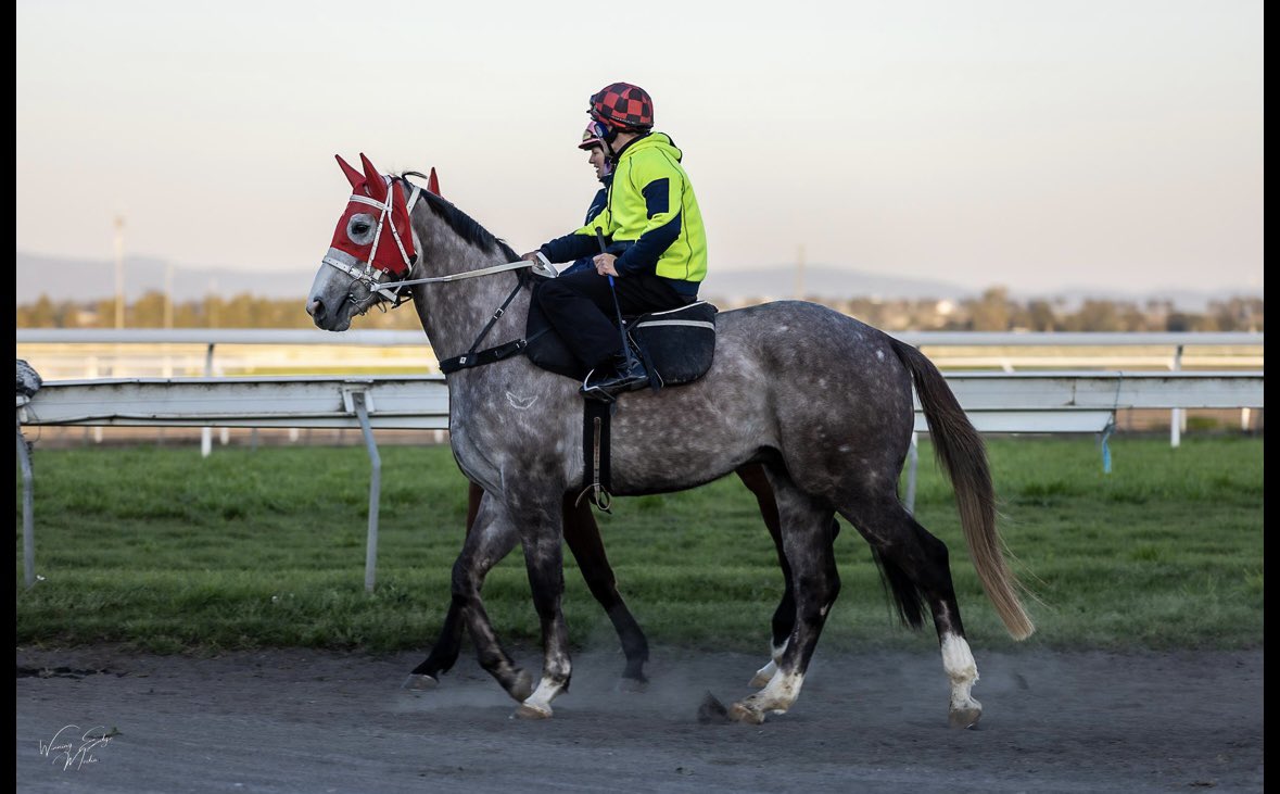 Stacey Ropa (@staceyropa1) on Twitter photo A local Tamworth Kozi ticket drawn-
ARCTIC LEGEND is your horse!
<a href="/_TJC/">Tamworth Jockey Club</a> <a href="/SkyRacingAU/">SKY Racing</a> <a href="/ChampionshipsRR/">The Championships</a> <a href="/tabcomau/">TAB</a> <a href="/royalrandwick/">Royal Randwick</a> <a href="/CodyMor12594764/">Cody Morgan</a> <a href="/SkyBlackBookers/">SkyBlackBookers</a> <a href="/racing_nsw/">Racing NSW</a> <a href="/Punters/">Punters+</a> <a href="/RacenetTweets/">Racenet</a> <a href="/ProPuntingAus/">Professional Punting</a> <a href="/sconeraceclub/">Scone Race Club</a> <a href="/thebrookracing/">Muswellbrook Race Club</a> <a href="/newcastleraces_/">Newcastle Racecourse</a>
#givehimaslot A local Tamworth Kozi ticket drawn-
ARCTIC LEGEND is your horse!
<a href="/_TJC/">Tamworth Jockey Club</a> <a href="/SkyRacingAU/">SKY Racing</a> <a href="/ChampionshipsRR/">The Championships</a> <a href="/tabcomau/">TAB</a> <a href="/royalrandwick/">Royal Randwick</a> <a href="/CodyMor12594764/">Cody Morgan</a> <a href="/SkyBlackBookers/">SkyBlackBookers</a> <a href="/racing_nsw/">Racing NSW</a> <a href="/Punters/">Punters+</a> <a href="/RacenetTweets/">Racenet</a> <a href="/ProPuntingAus/">Professional Punting</a> <a href="/sconeraceclub/">Scone Race Club</a> <a href="/thebrookracing/">Muswellbrook Race Club</a> <a href="/newcastleraces_/">Newcastle Racecourse</a>
#givehimaslot