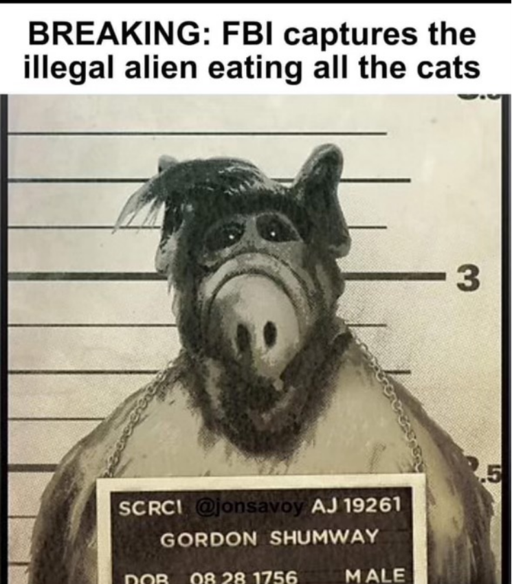 Infolge der gestrigen Behauptung von Herrn Trump, Einwanderer würden ihre Haustiere aufessen, kam es zu zahlreichen Verhaftungen im ganzen Land.