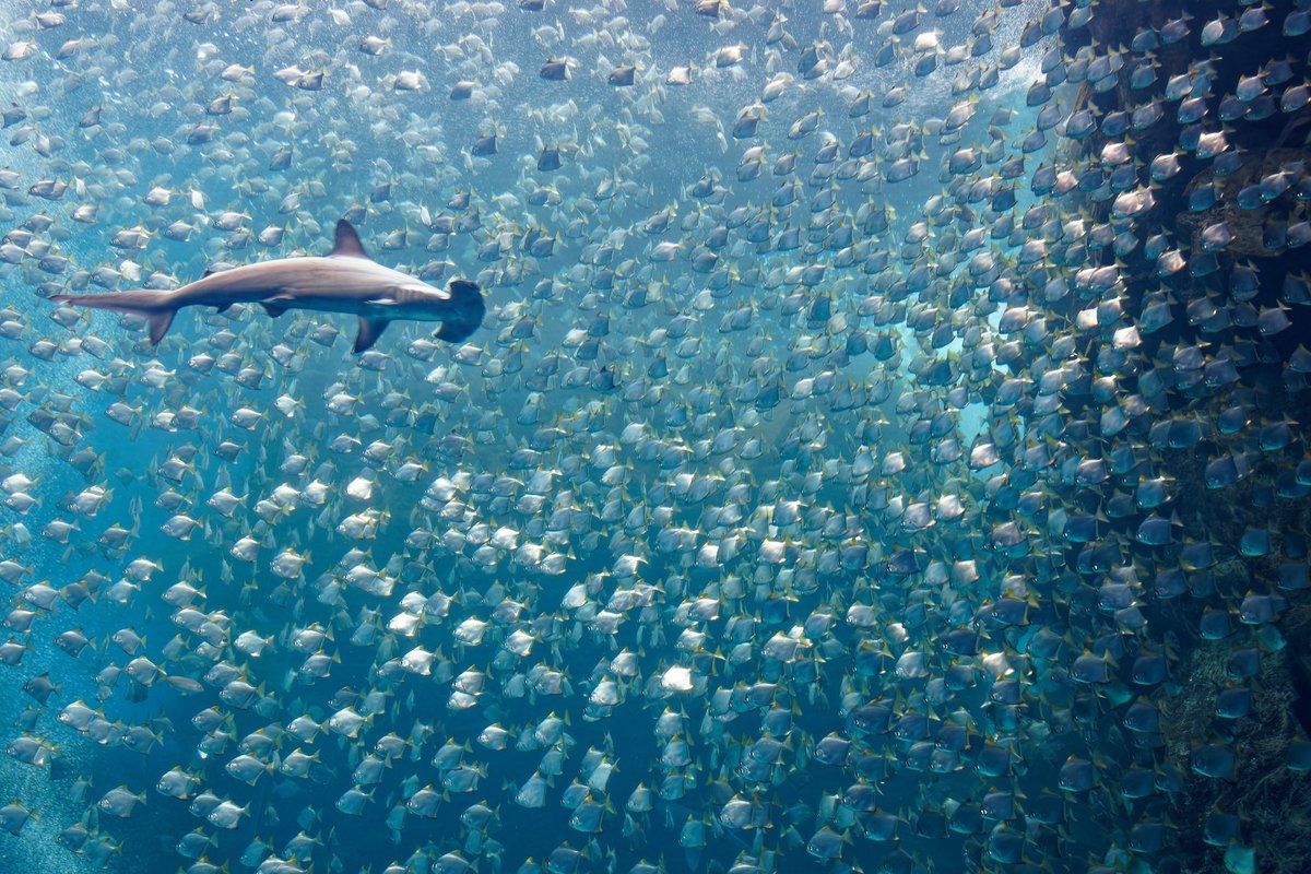 Jeremy Roberts tweet media