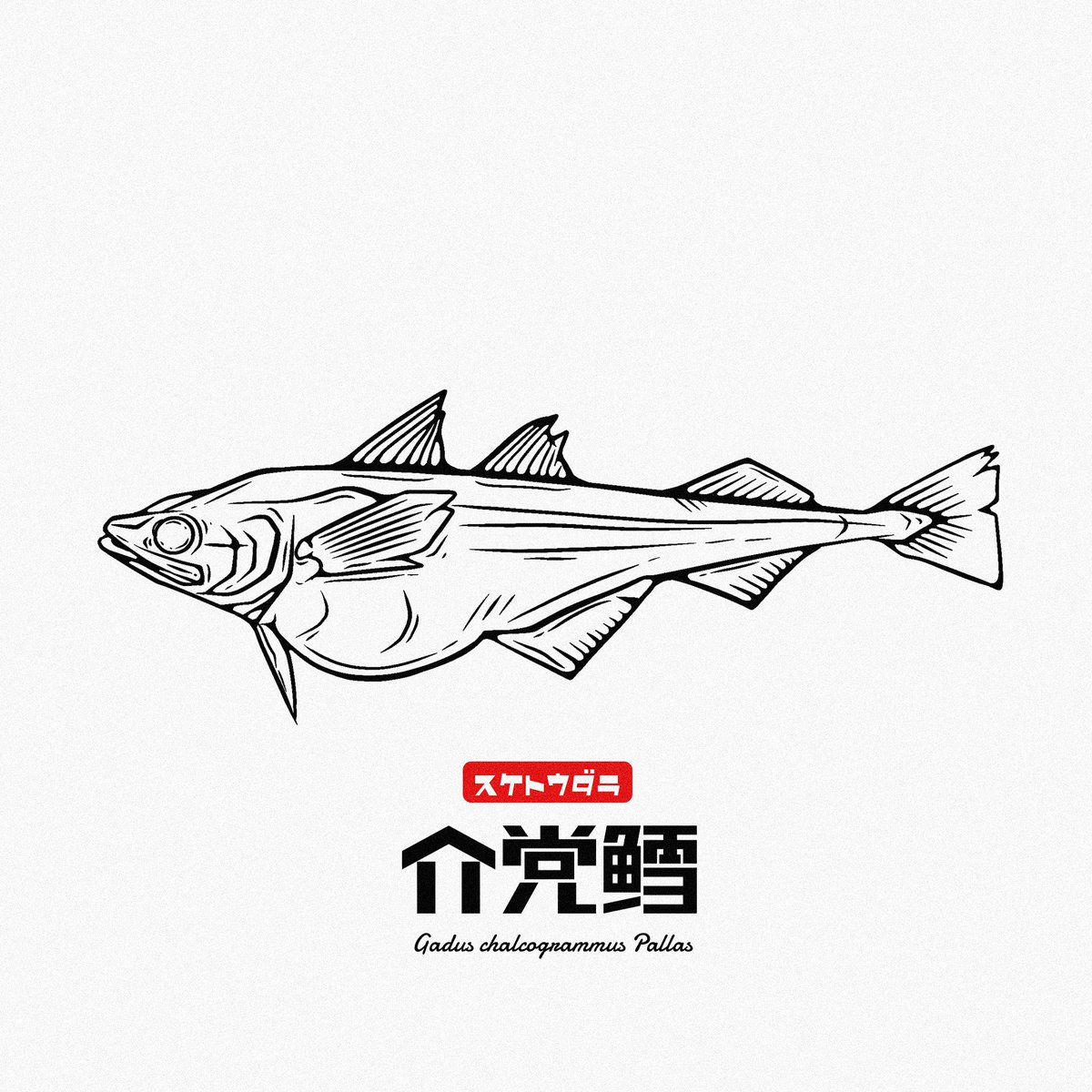 スケトウダラ