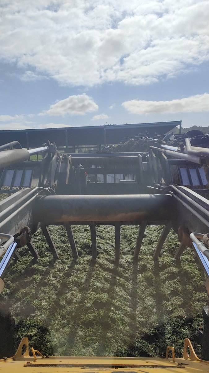 NotDoof's tweet image. 2 likes and I'll go live on the purple strim place, live from work