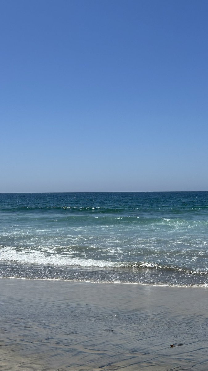 Brittany Long tweet media