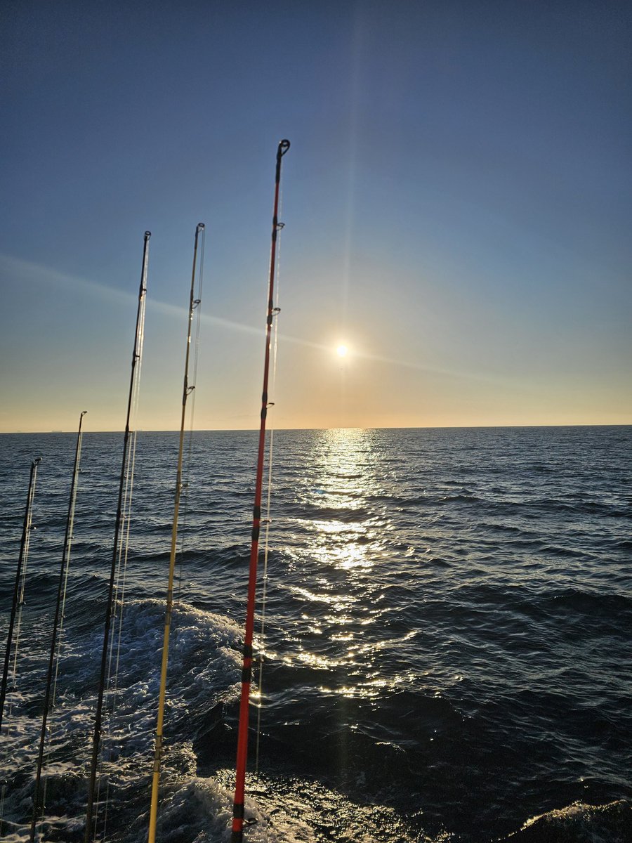 Mr.Cheese tweet media