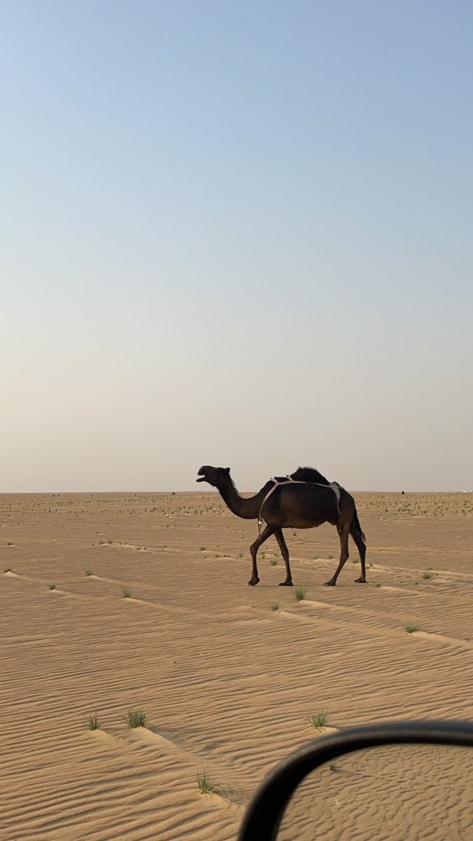alb2t3's tweet photo. لايزعلش صبري على حزنش الشين
لانا بـعبدً  لش  ولا انتـي .. بعبـدي

حزنش مهوب اشلى من الفقر والدين
واخلاجش الى لا ادبح الـيل .. يبدي

وخاطي شهـيقً  قد هل البيت ممسين
والله ماكنّـه  يـسمعه  كـون .. كـبـدي

#الباتع https://t.co/mdu4zEVtUw