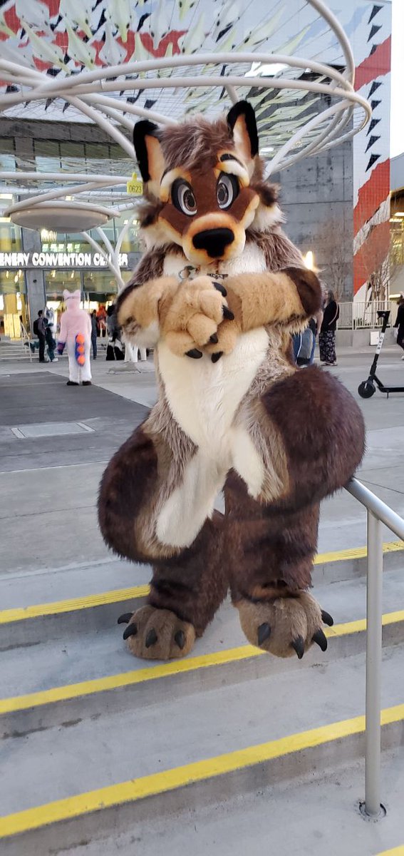 The winner of tonight's debate is....