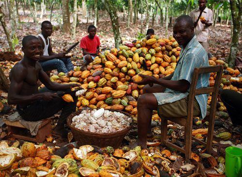 KingWobil's tweet image. includes land rights, labour rights, human rights, and laws relating to indigenous people, tax and corruption to name but a few. This means this regulation is not just about deforestation.
(Credit to @Czapp_portal)

📸: @newsghana24; @CMCnews

5/5

#AgriDirectGh #cocoaproduction