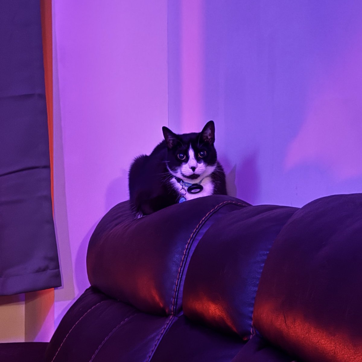 chris evans tweet media