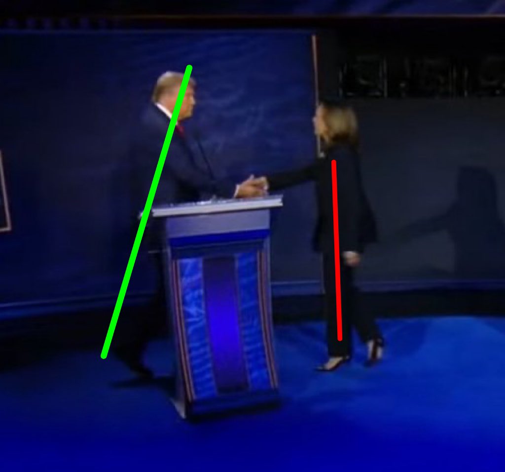 Godzilla Shamgodzilla tweet media