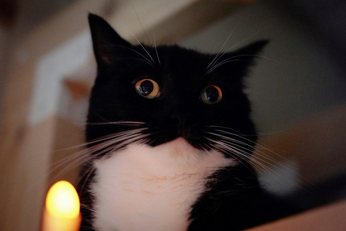 「これは本当にあった話です…」
「よく聞くのです…」

" I will tell you a scary story that really happened”
"Please listen carefully …”