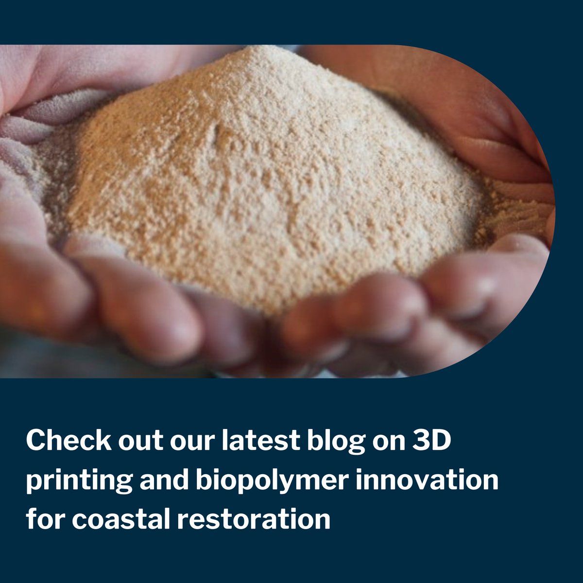 🍎Thinking about reducing your food waste? In the latest #ReGenOurCoasts blog, we explore cutting-edge ways to turn industry-generated biomass waste into biodegradable habitats that support #ecologicalrestoration.

Read here 📣 bluecarbonlab.org/novelbiopolyme…