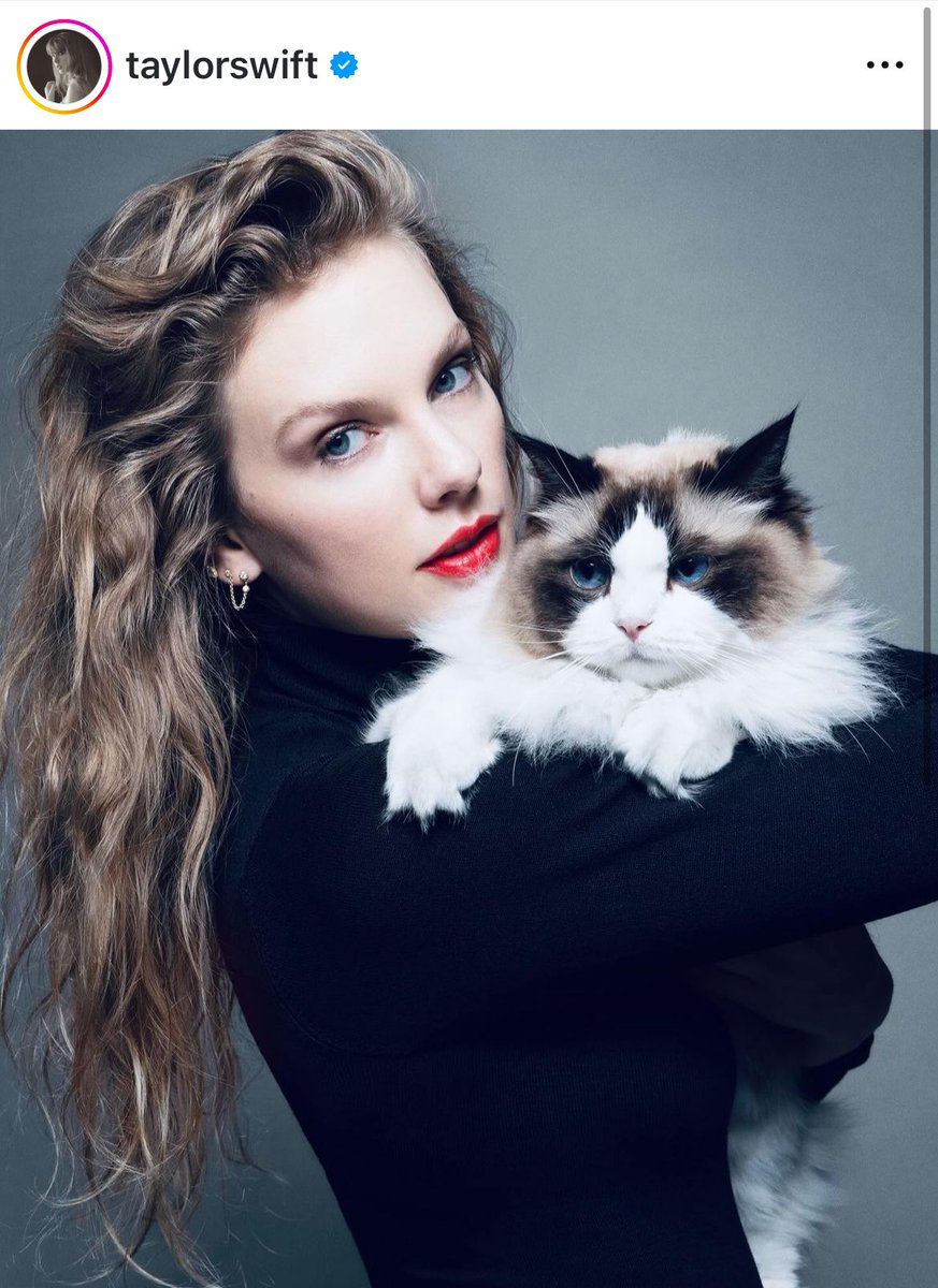 Tara Dublin, Rock Star Author & Political Savant tweet media