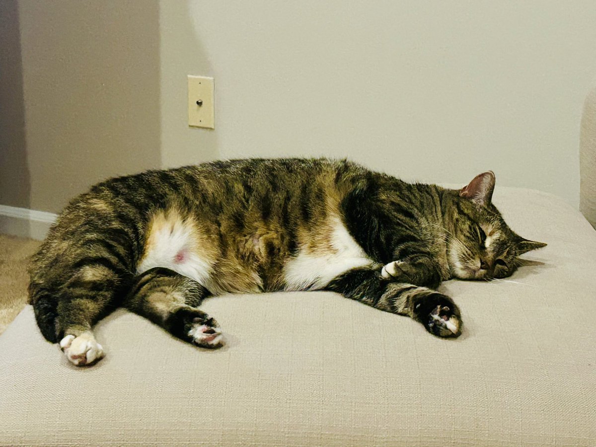 Kristin Kanaar tweet media