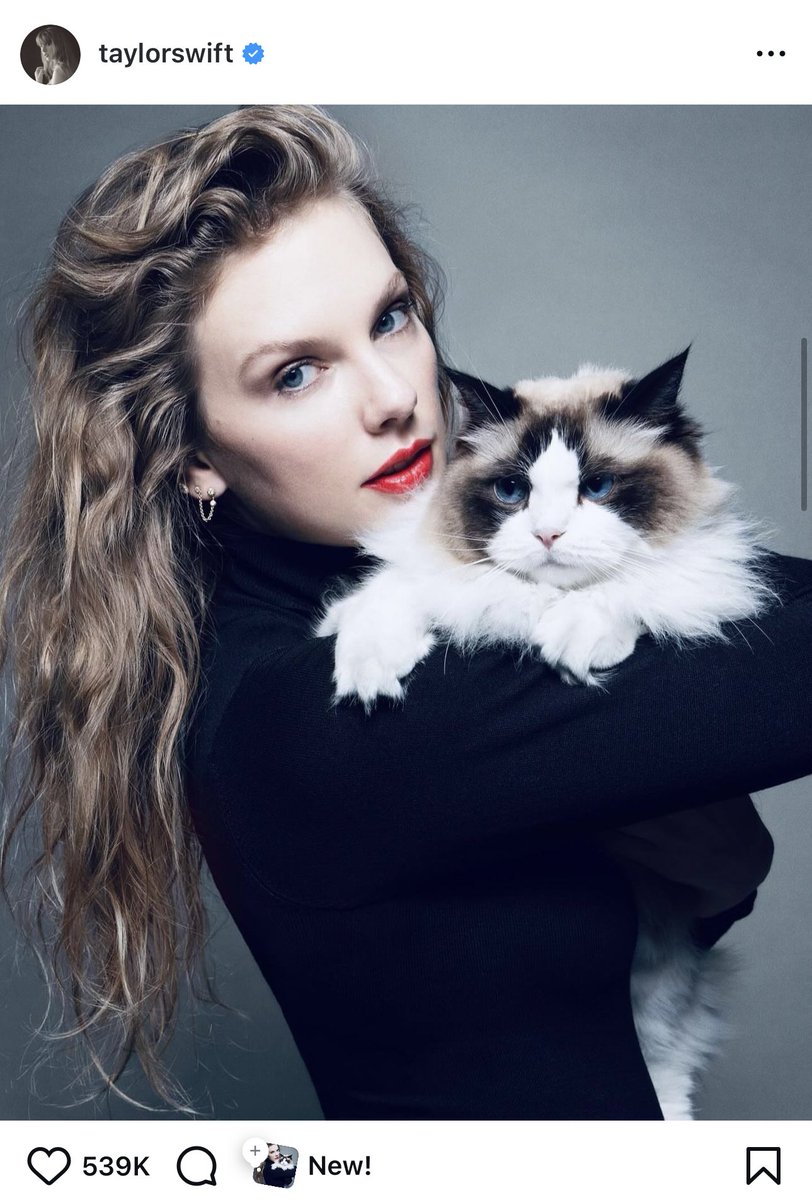libsoftiktok's tweet photo. BREAKING: Taylor Swift endorses Kamala.

Better pray no Haitian migrants get near your cat… @taylorswift13 https://t.co/vyOzwZ40Ff