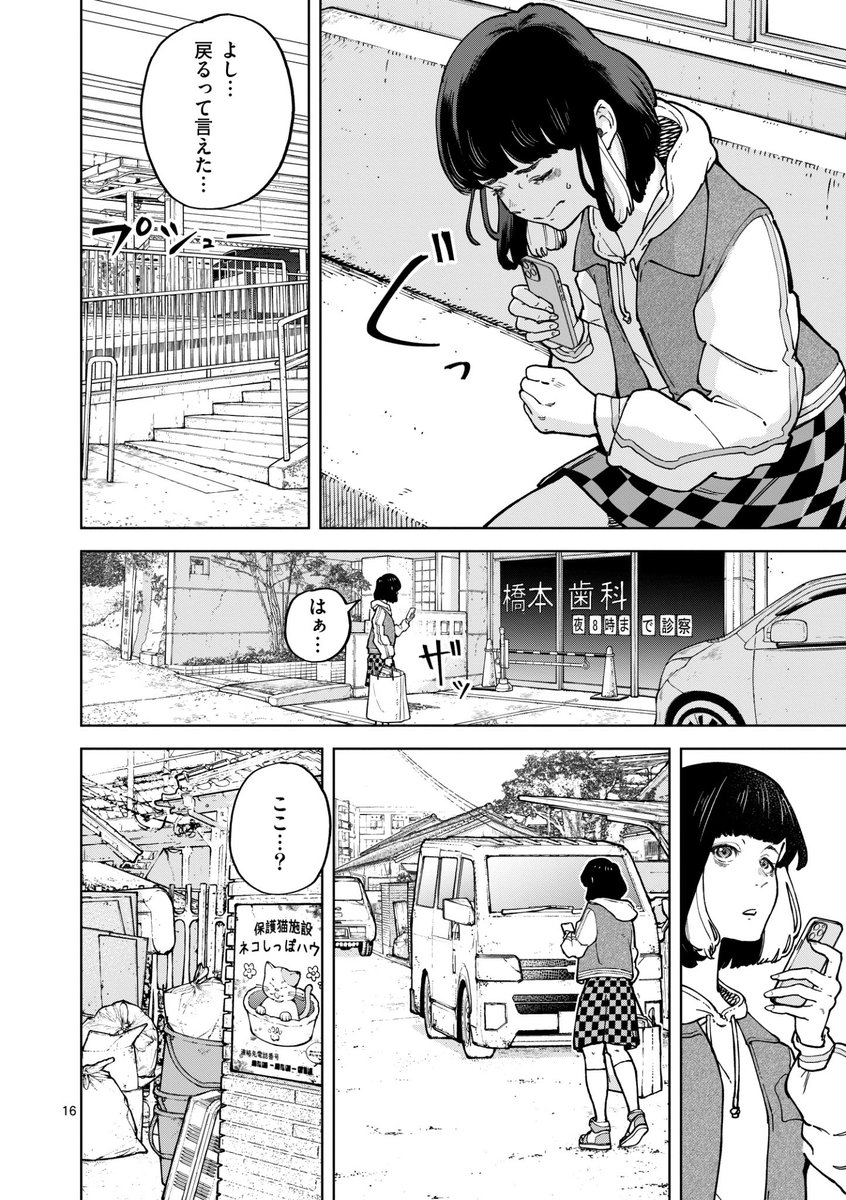 街に潜む、ネコ屋敷の実態の話⑤ 