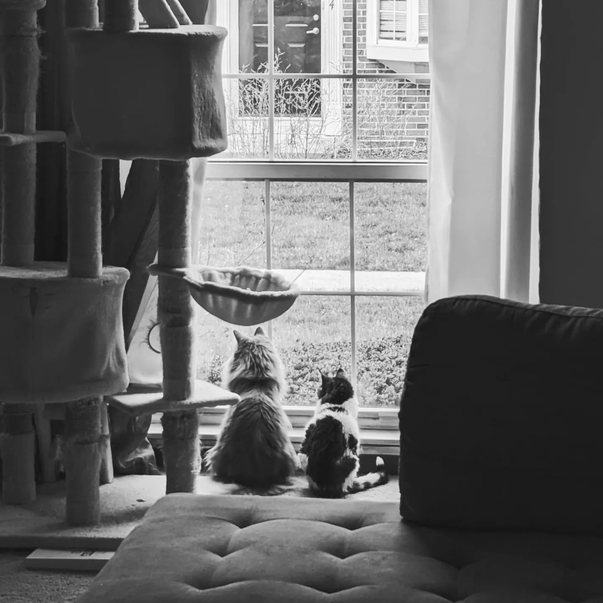 j8nelle's tweet photo. Now @taylorswift13 and I have two things in common - Being childless cat ladies and voting for @KamalaHarris https://t.co/r8pqqoXF3O