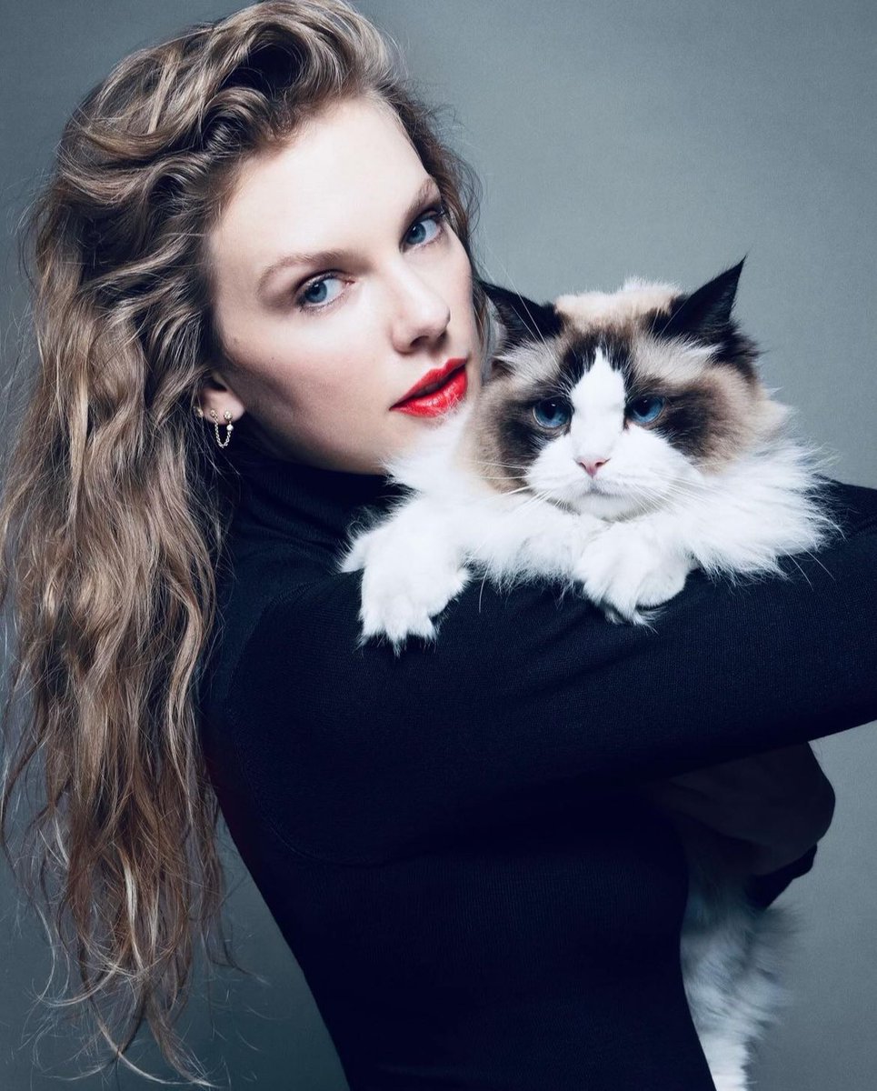 besttofswift's tweet image. childless cat lady