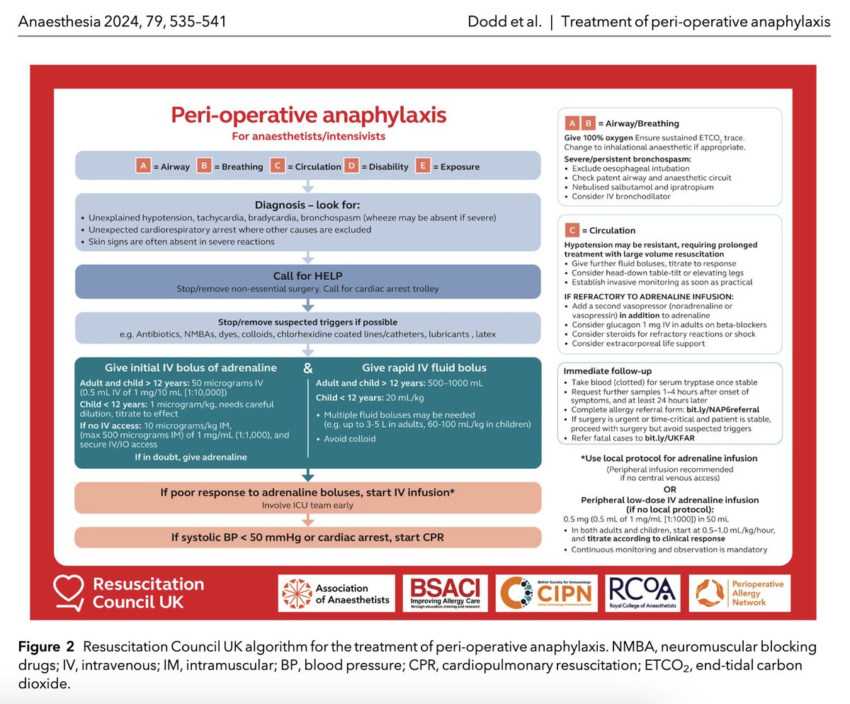 ππ―π’π¦π΄π΅π©π¦π΄πͺπ’ (@anaes_journal) on Twitter photo How to manage peri-operative anaphylaxis - for anaesthetists and intensivists!
Resuscitation Council UK algorithm for the treatment of peri-operative anaphylaxis
@LouiseSavic <a href="/jas_soar/">Jasmeet Soar</a>
πβ¦-publications.onlinelibrary.wiley.com/doi/10.1111/anβ¦ How to manage peri-operative anaphylaxis - for anaesthetists and intensivists!
Resuscitation Council UK algorithm for the treatment of peri-operative anaphylaxis
@LouiseSavic <a href="/jas_soar/">Jasmeet Soar</a>
πβ¦-publications.onlinelibrary.wiley.com/doi/10.1111/anβ¦