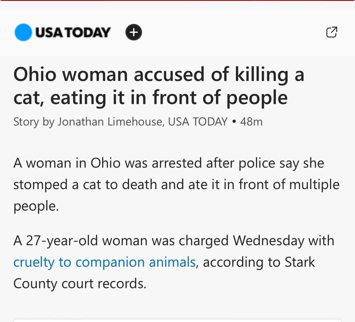 Tracy BeeADeplorable ⭐️⭐️⭐️ tweet media