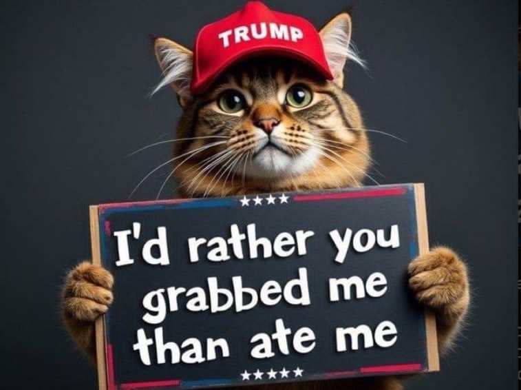 𝖯ur𝗋ᑲɑ 🇺🇸 𓆩 ♡ 𓆪 tweet media