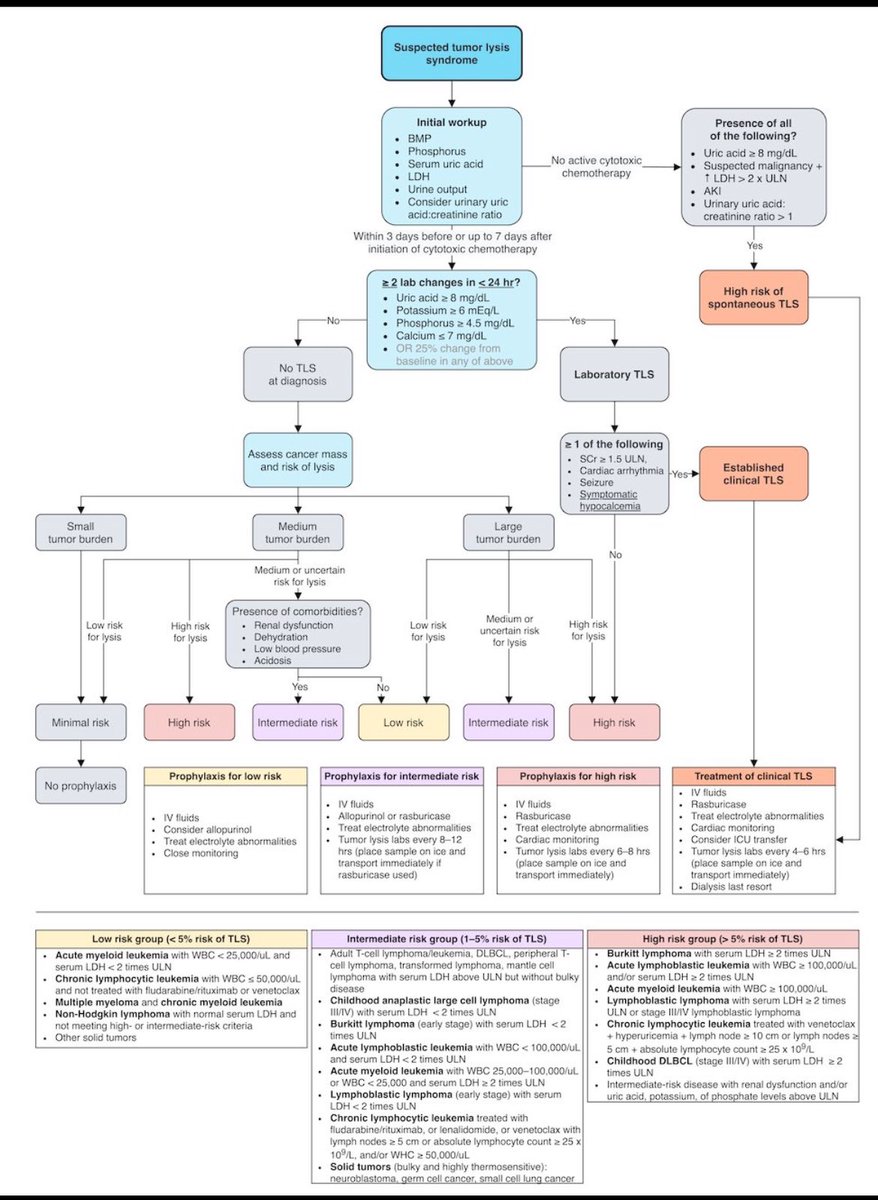 💡Tumor Lysis Syndrome Approach 

By <a href="/MatthewHoMD/">Matthew Ho</a>