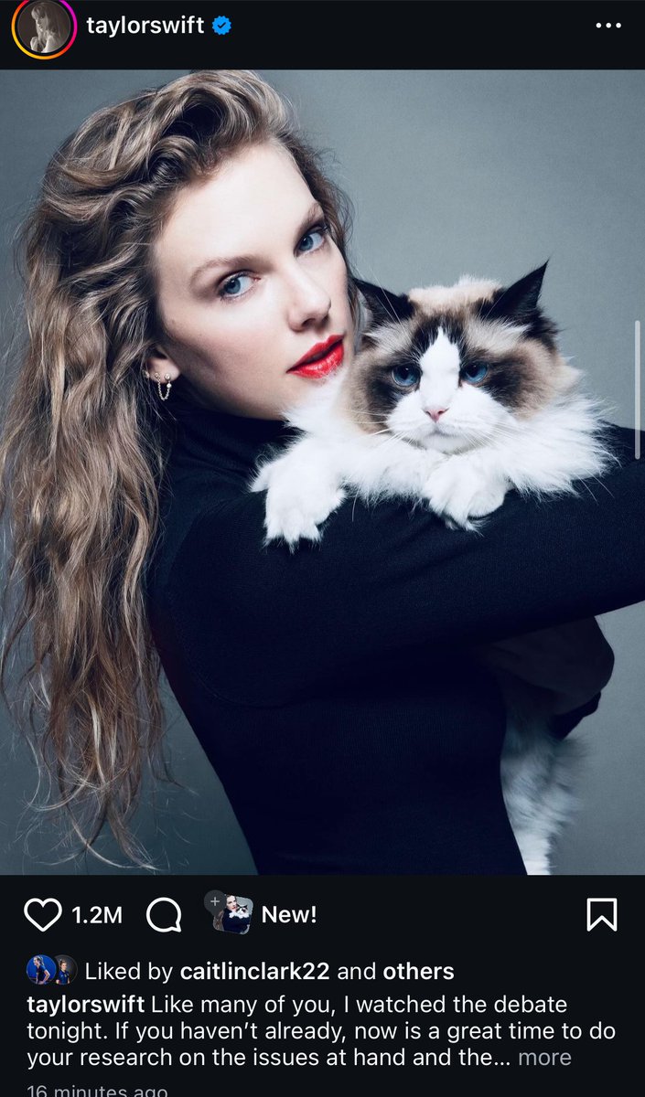 correlation tweet media