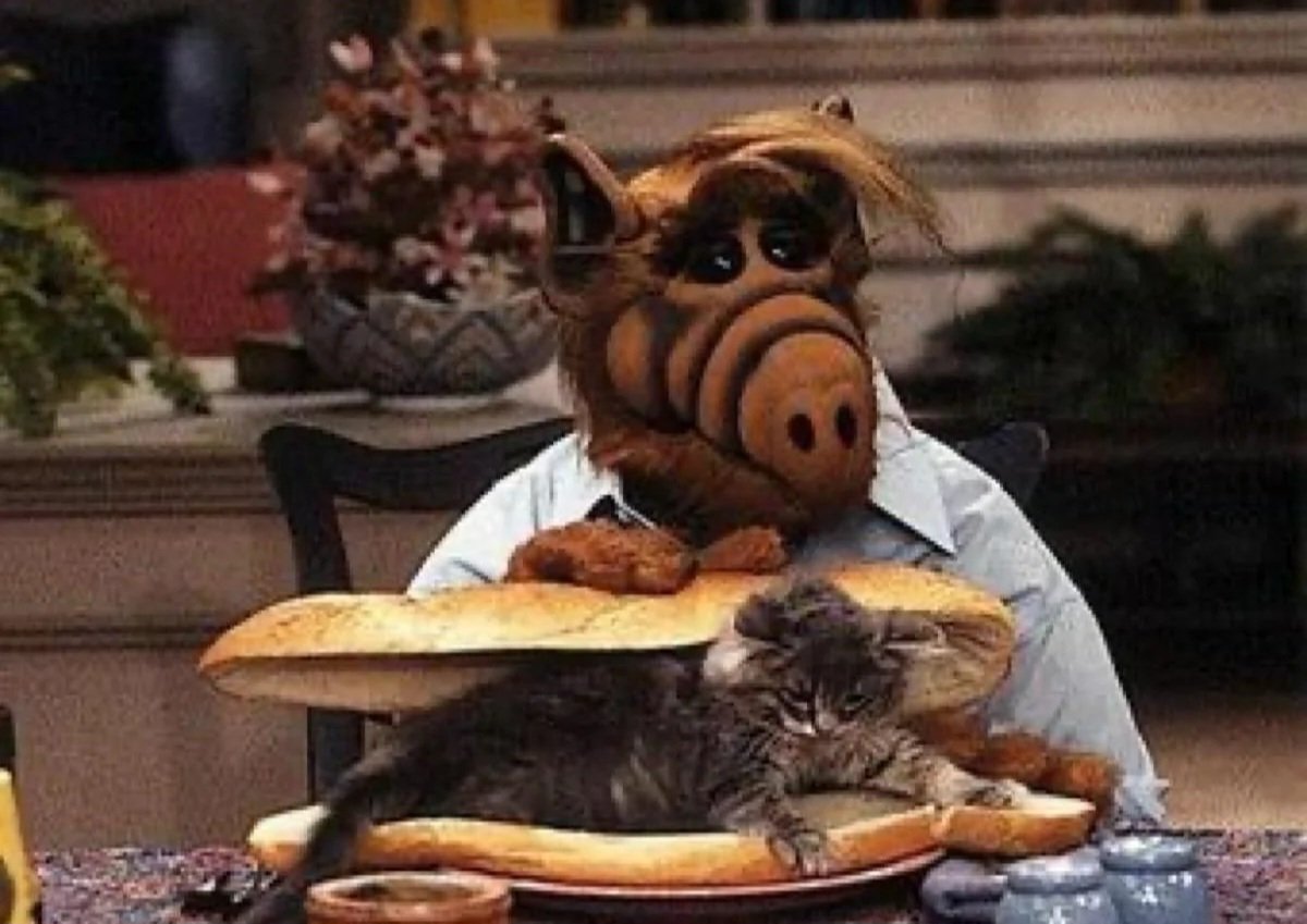 CBoTheEggman's tweet photo. The Trump campaign has refused to clarify if ALF was the TV show where Trump saw illegal aliens eating people's pets https://t.co/vNZTPn0B2u