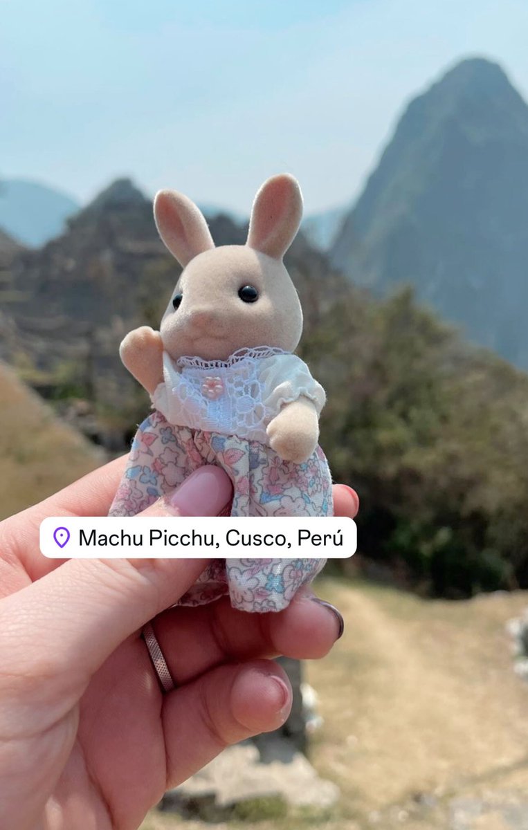 Sandy__Cu's tweet photo. 🇵🇪 🐰 https://t.co/icWJvCBEkl
