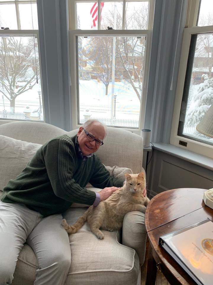 JessalynNeal's tweet photo. We need @KamalaHQ to tell us when @Tim_Walz and @taylorswift13 are having a play date for their cats. https://t.co/NUhCAqBA3E