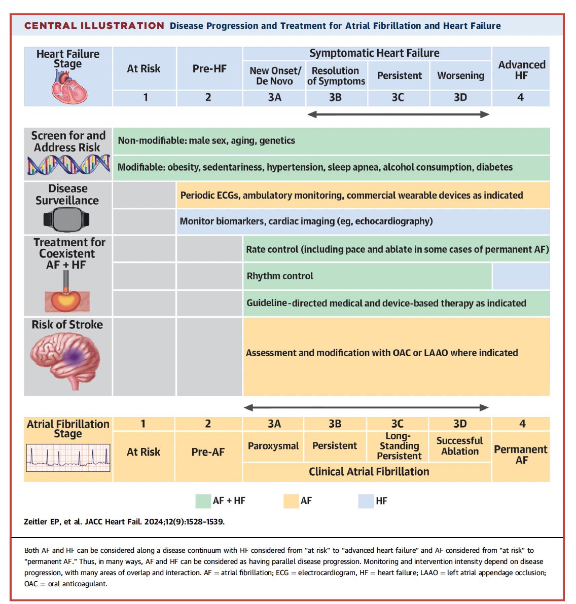 🔥All you need to know about #AFib &amp; #HFrEF, a 🧵:

1/n
📍Staging:
1️⃣: At-risk (#obesity, #HTN, #Diabetes)
2️⃣: Pre-AF (structural/functional atrial changes w/o clinical #AF).
3️⃣: #AF (paroxysmal, persistent, longstanding-persistent, successful ablation)
4️⃣: Permanent

🖇️: