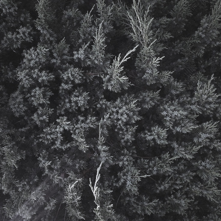 sunghoonpx's tweet image. Unveiling the ‘𝗚𝗲𝗻𝗲𝘁𝗶𝗰 𝗖𝗼𝗱𝗲 𝗼𝗳 𝗘𝗡𝗛𝗬𝗣𝗘𝗡’—a fusion of avant-garde design and timeless sophistication. Our latest collaboration transcends fashion, weaving together the essence of our collective identity with Prada’s iconic style.