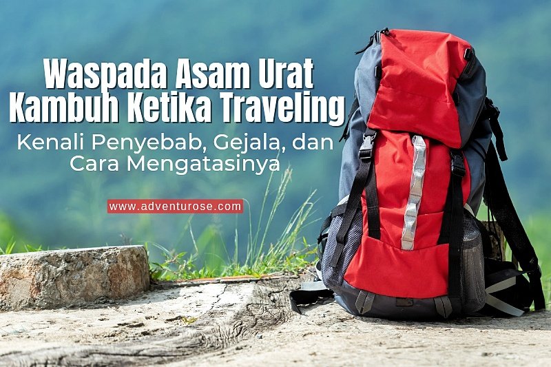 adventurose.com/2024/09/waspad…