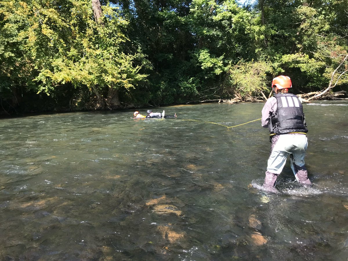 Seth Collings Hawkins tweet media