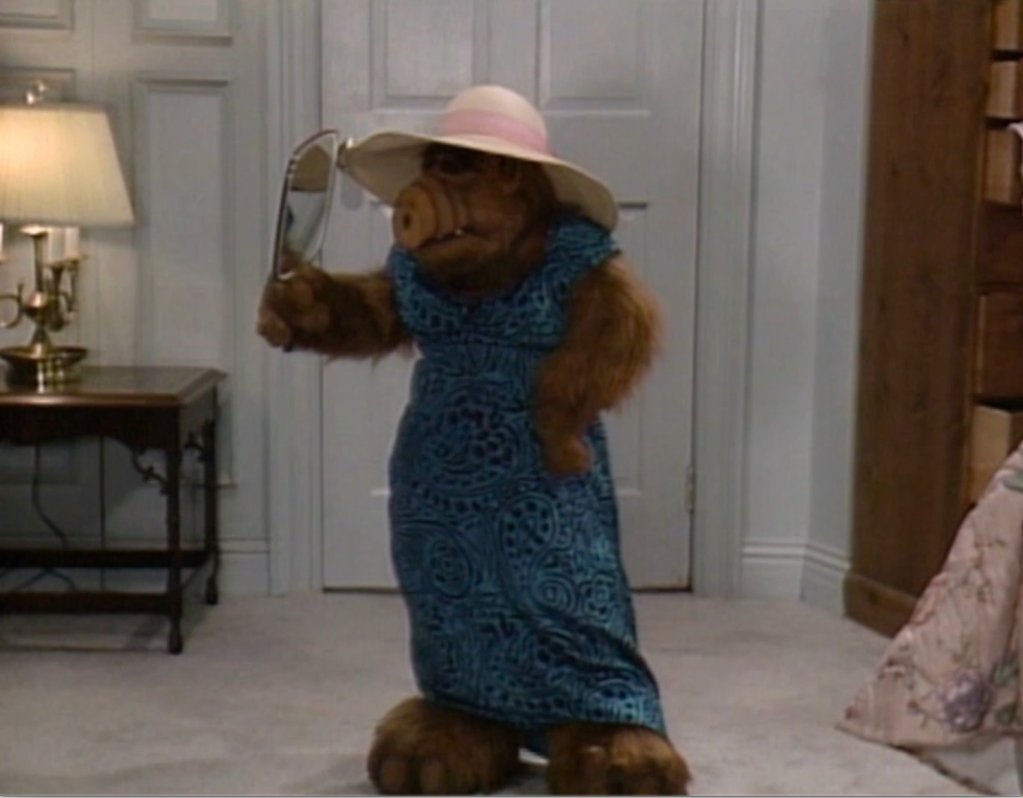 mathewrodriguez's tweet image. illegal transgender alien