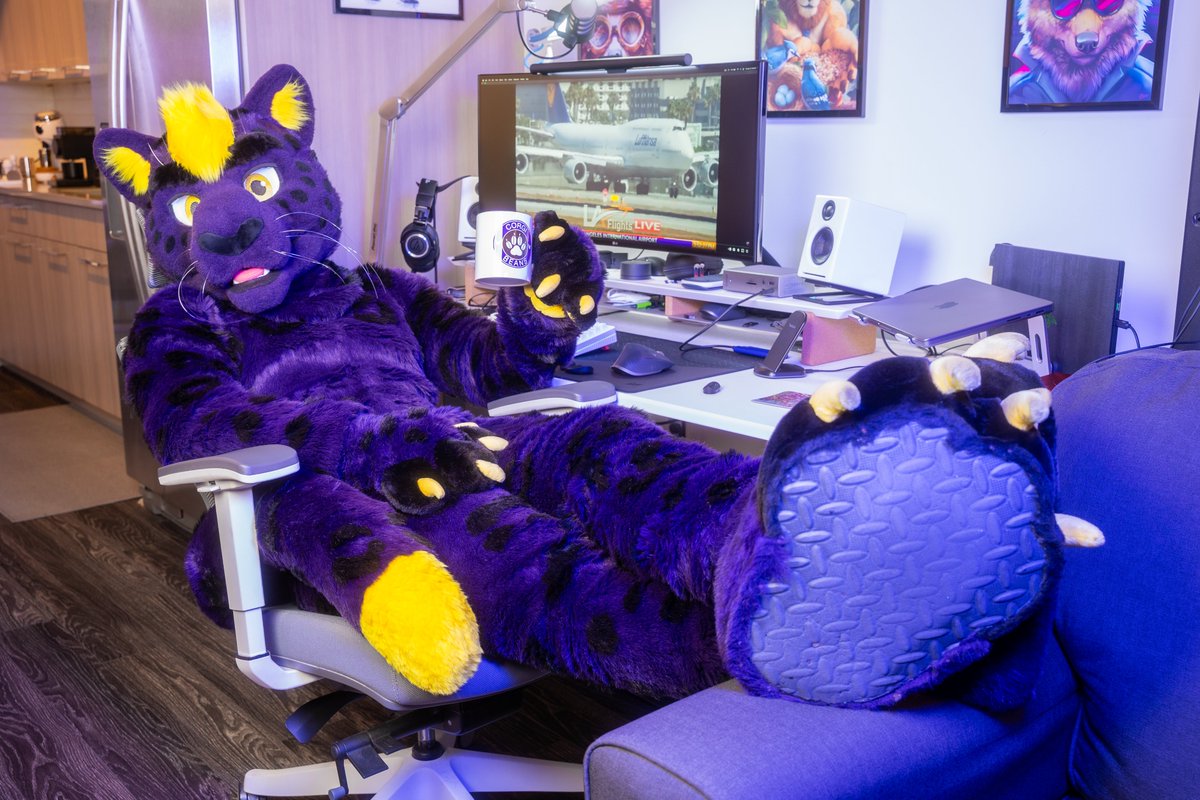 Back from vacation, but still not ready to give up my mid-day cat naps...

This kitty needs more coffee ☕