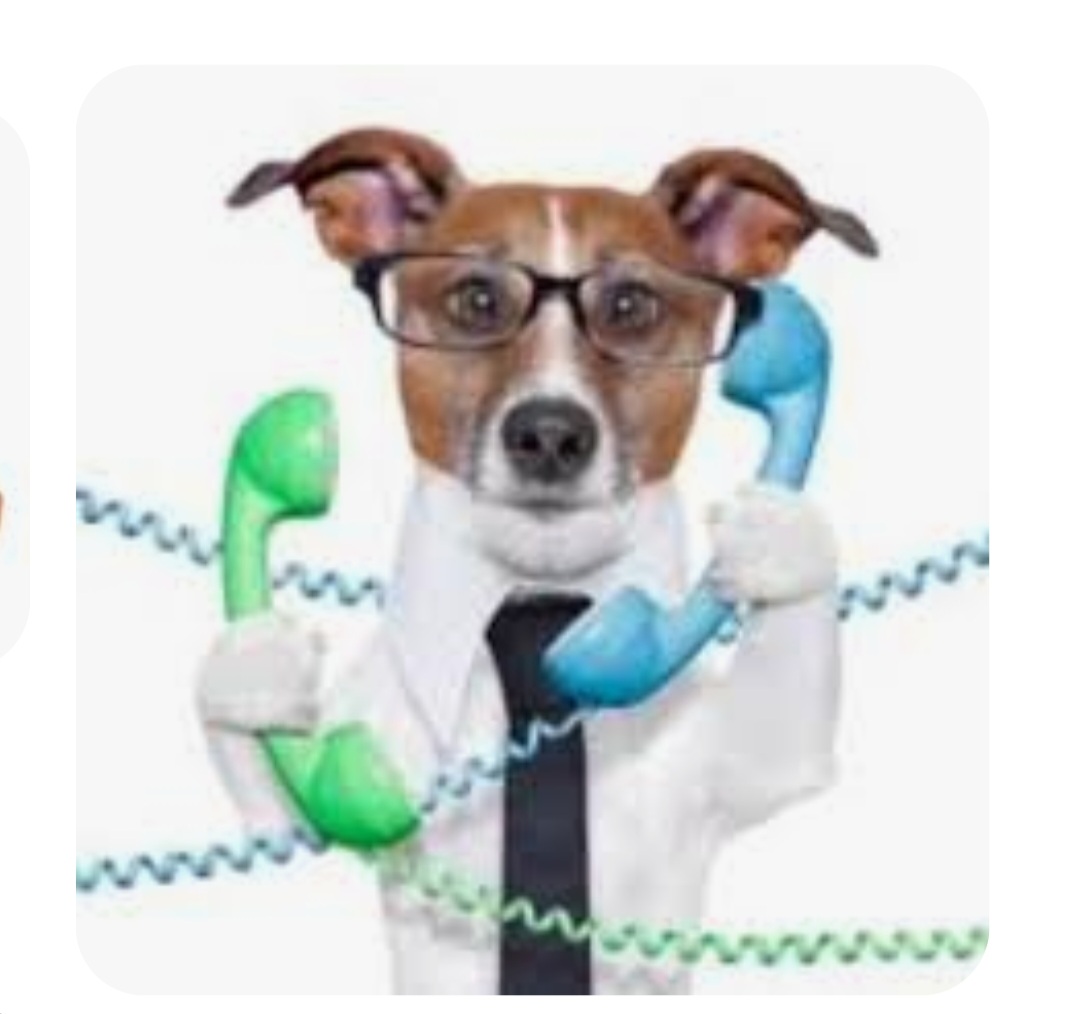 shellsamhell's tweet image. Back to you Dave!?!?!