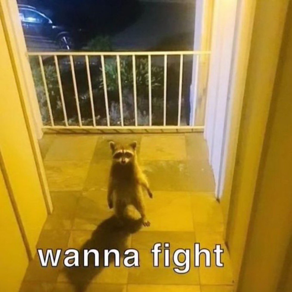 backyardpimp's tweet image. Pets in Ohio rn