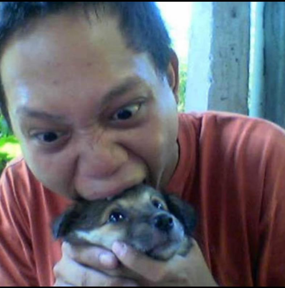 datrill's tweet image. They eating all your pets 😭😭😭