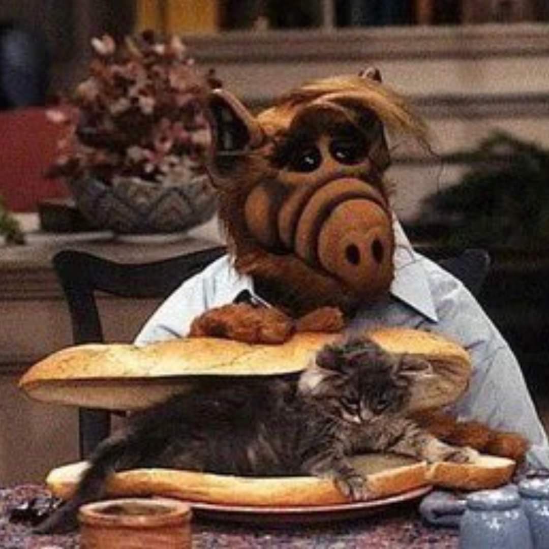 <a href="/madrid_mike/">Mike Madrid</a>