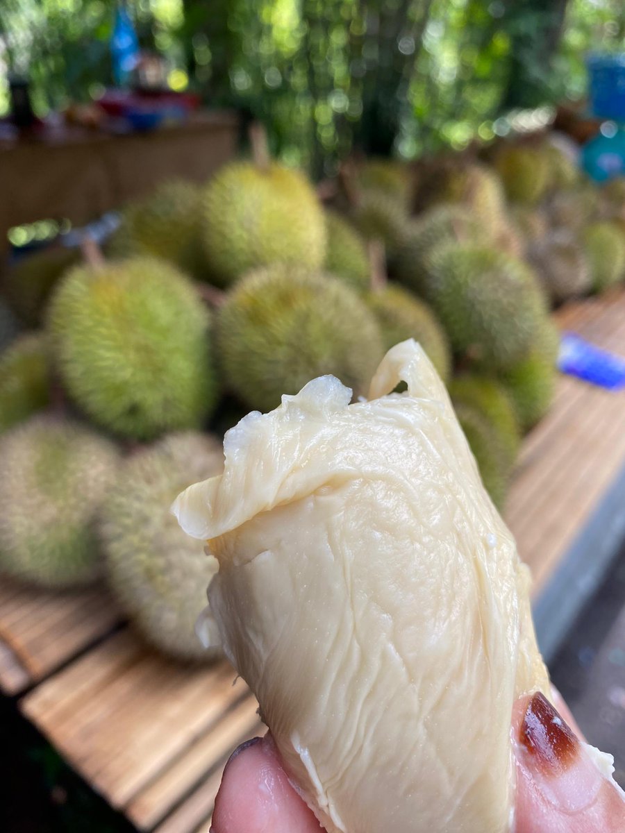 Mama Lisa tweet media