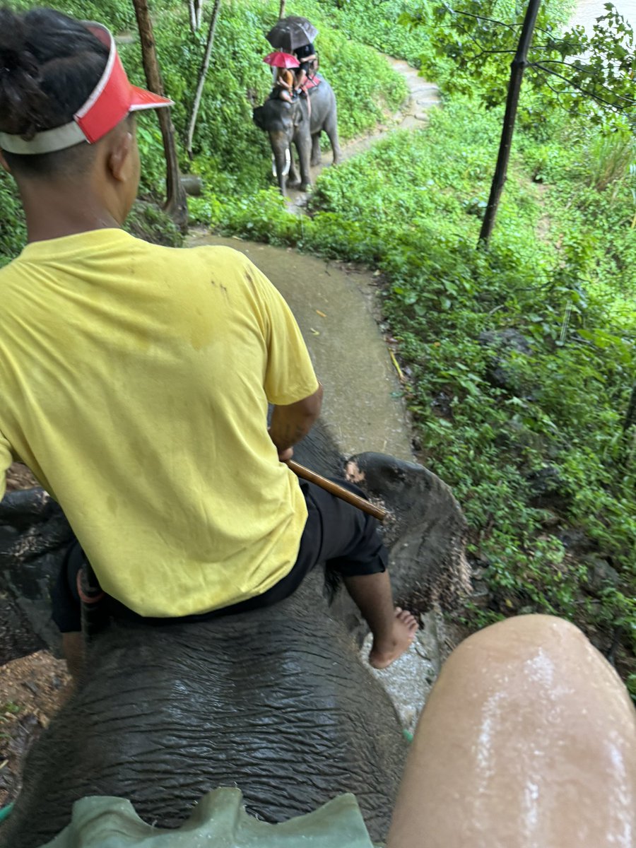 はじめての1人タイ旅行〜チェンマイ編〜
ゾウにトラにヘビに動物三昧の1日でした！