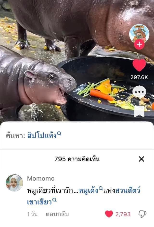 เหี้ยมากกกกกกกกก 555555555555555 ขำแรกของสัปดาห์นี้