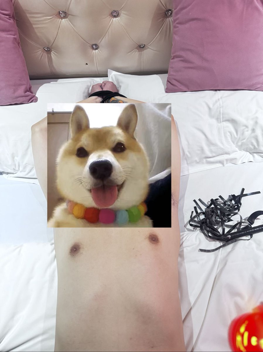 ＃天津 狗狗要听话哦