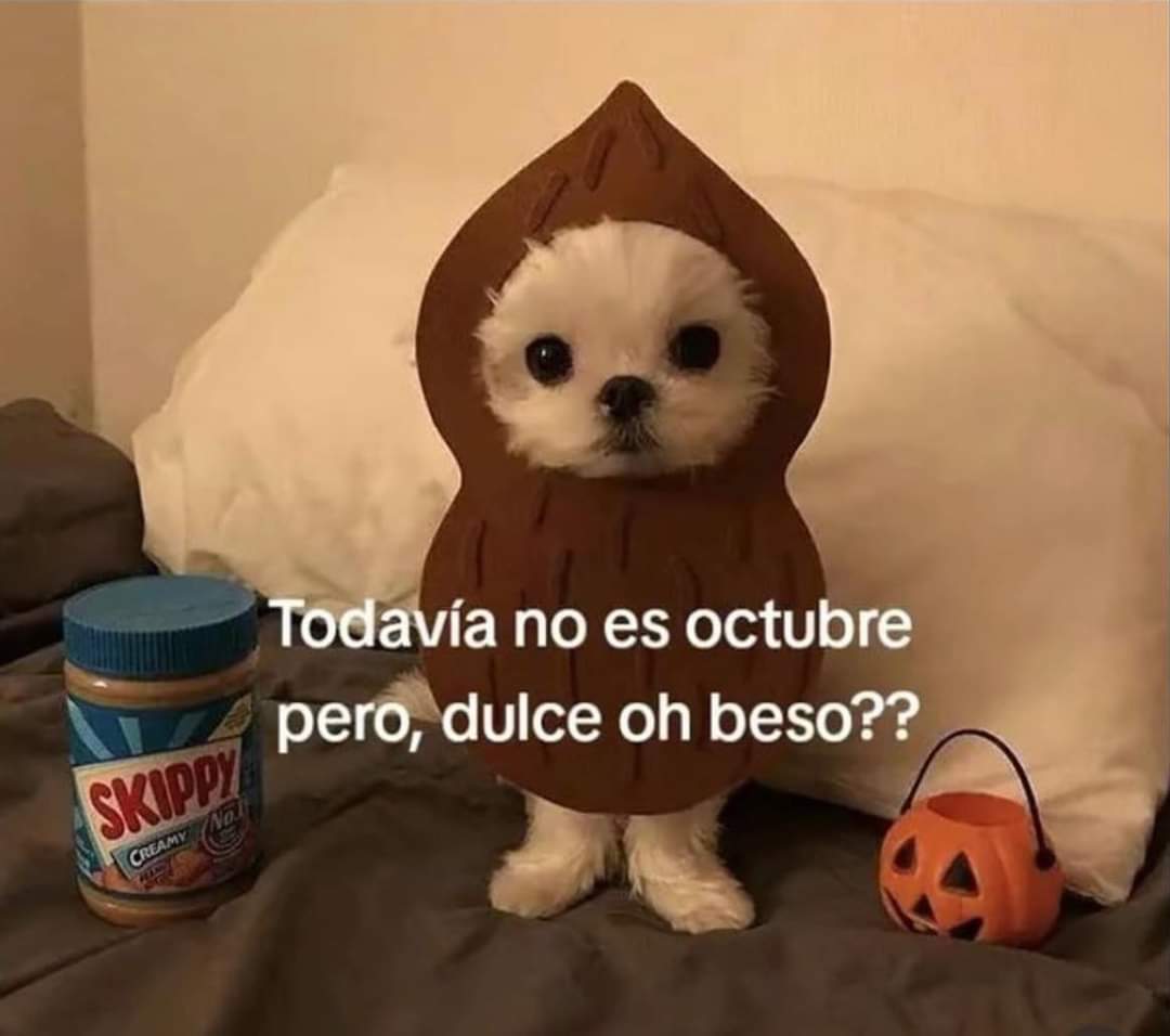 En Júpiter (@en_jupiter_) on Twitter photo 
