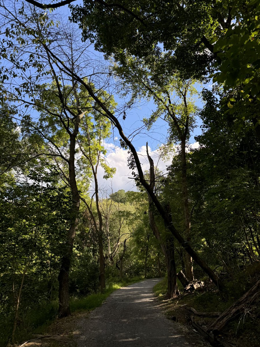 MATT RUSSO tweet media