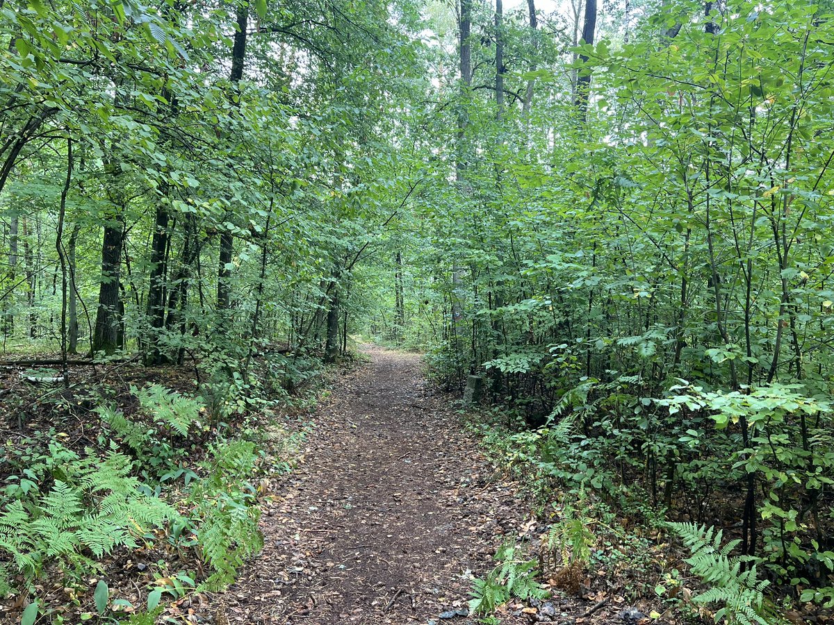 Abdul Malak, PhD tweet media