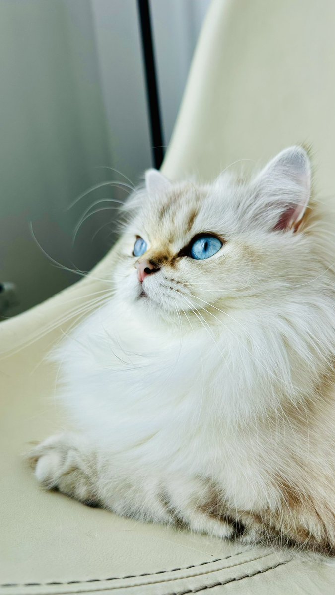 Günaydın beybiler  ☀️